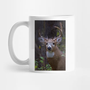 Battle Scars - White-tailed Buck Mug